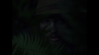 #32 Перша корова