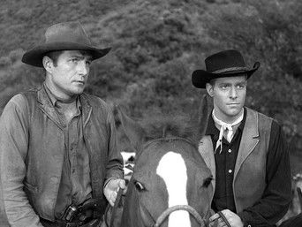 Aflevering 28 — Incident of the Murder Steer