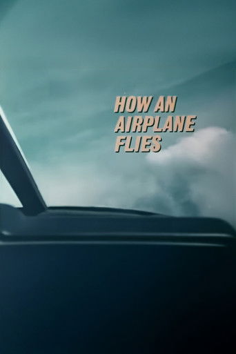 How An Airplane Flies