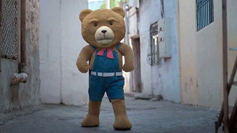 #4 Teddy
