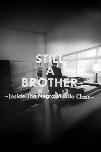 Still A Brother: Inside the Negro Middle Class (1968) movie poster - Documentary