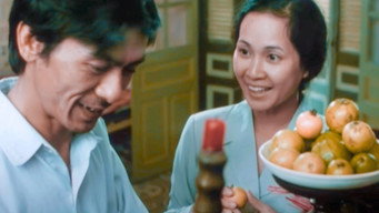 #9 The Guava House