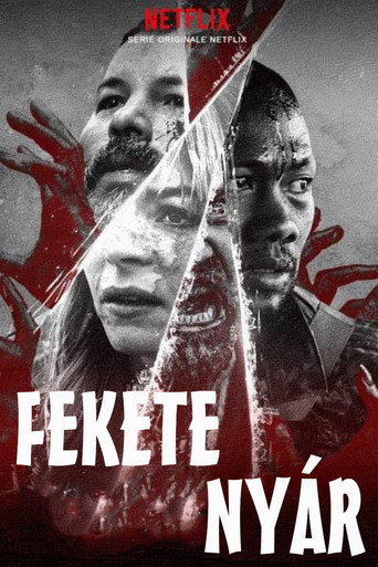 Poster 12