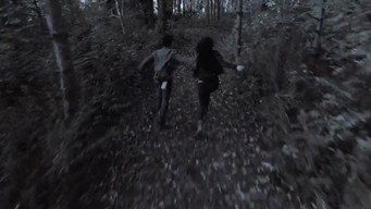 Couple in the Woods (2024)