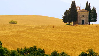 Mare di grano (2018)