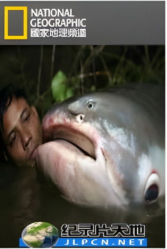 国家地理 寻找亚马逊大鱼 (2010)