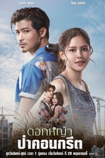 A Wildflower in the City: Season 1
