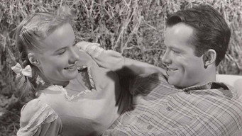 The Big Cat (1949)