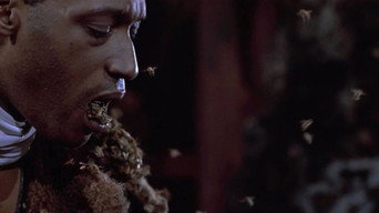 Candyman backdrop 10