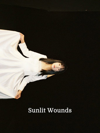Sunlit Wounds poster