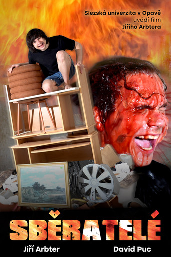 Sběratelé poster