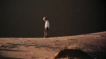 #46 Walkabout
