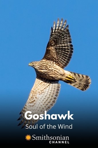 Goshawk - Soul of the Wind en streaming 