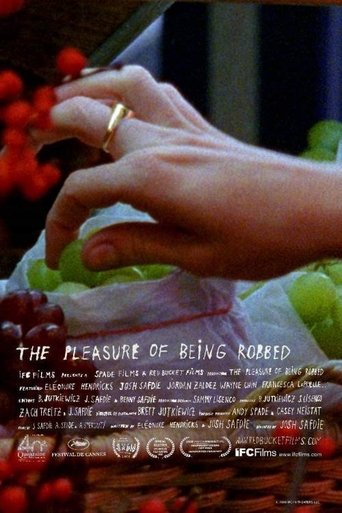 The Pleasure of Being Robbed (2008)