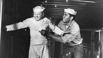 The Extraordinary Seaman (1969)