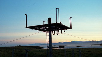 Nest media image