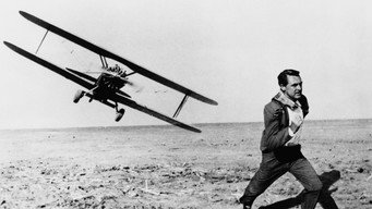 #93 На північ через північний захід