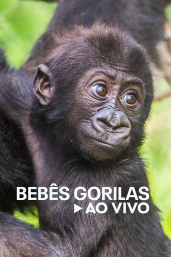Baby Gorilla Cam: Season 1