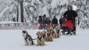 Snow Buddies backdrop 8