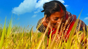 India's Lost Worlds (2015-2016)