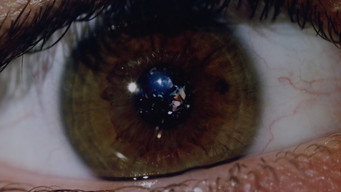 #8 Dark Diamond