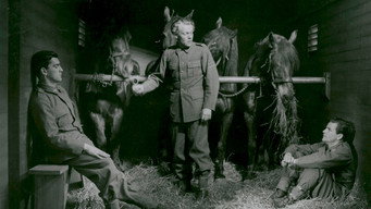 En vår i vapen (1943)