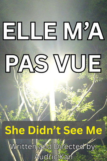 She Didn't See Me (2026)