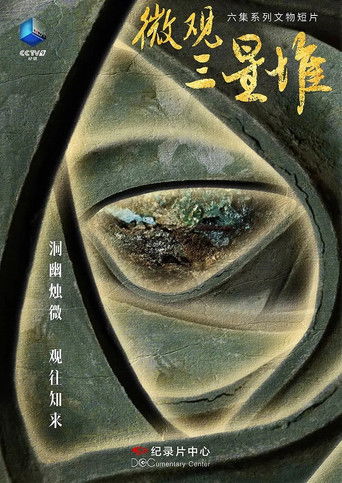 微观三星堆 poster