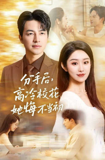 分手后，高冷校花她悔不当初 poster