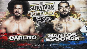 WWE Survivor Series: WarGames (2023)