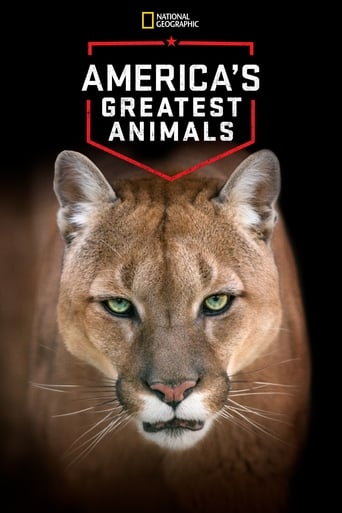 Poster för America's Greatest Animals