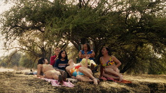 Still 7 from The Mysterious Gaze of the Flamingo