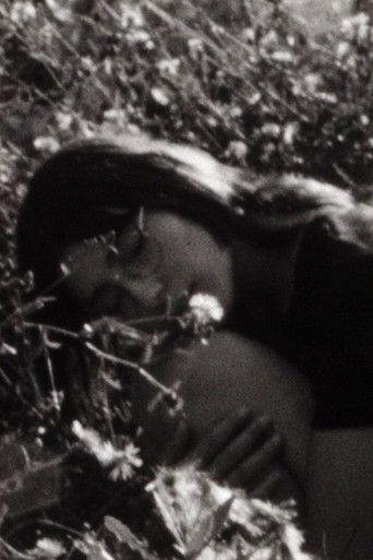 Cartell de Shadow of the Valley