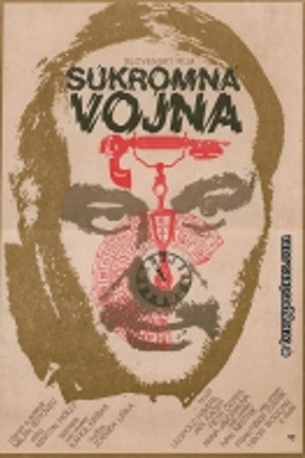 Súkromná vojna