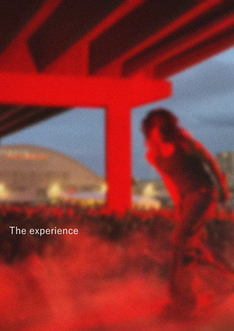 The experience