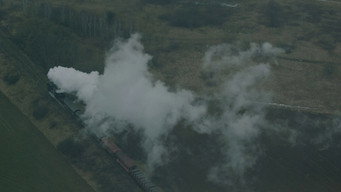 #72 Бруталіст