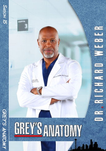 Grey's Anatomy - S15 - Poster