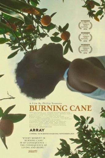 Burning Cane