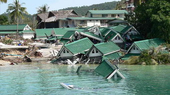 Tsunami: Race Against Time (2024)
