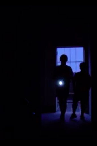 Sunken Cave and a Migrating Bird poster