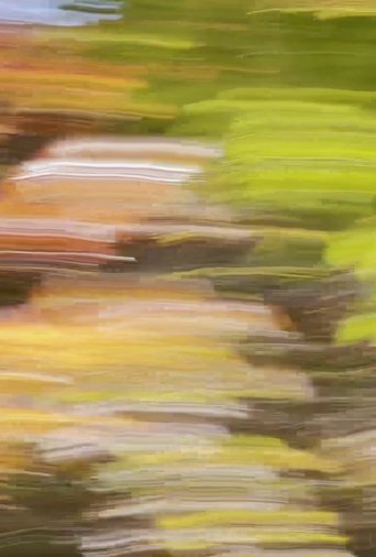 Home / Away From Home poster