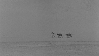 The Eloquent Peasant (1970)