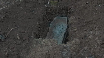 #16 Армія Франкенштейна