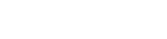 صورة من The Consultant