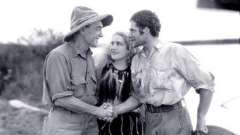 Трейдер Горн (1931)