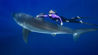 #6 Saving Jaws