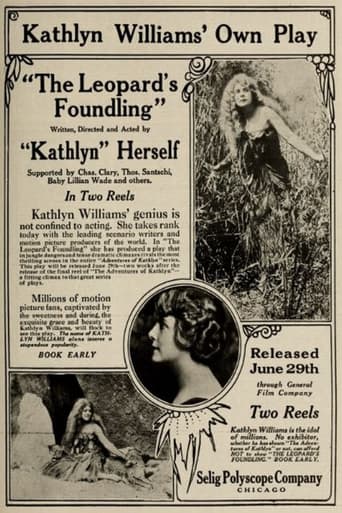 Poster of The Leopard's Foundling