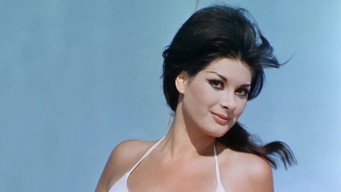 #4 The Seducers