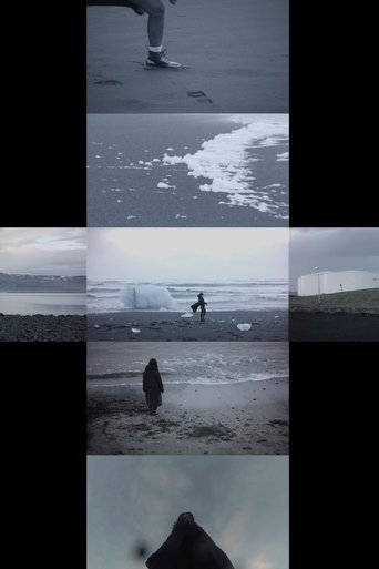 Wandering Wonderland (2017)