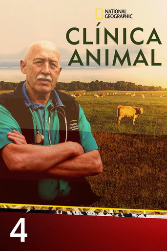 Temporada 4